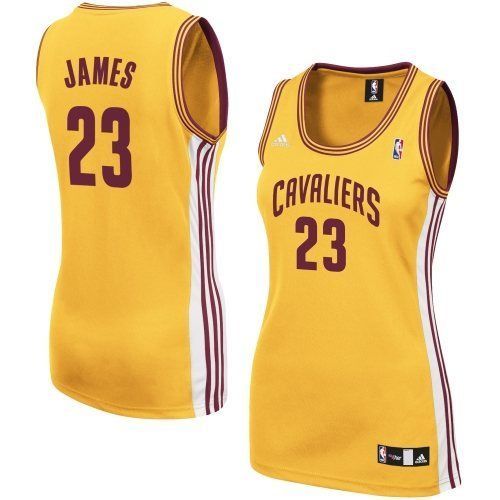 mamba lebron james jersey